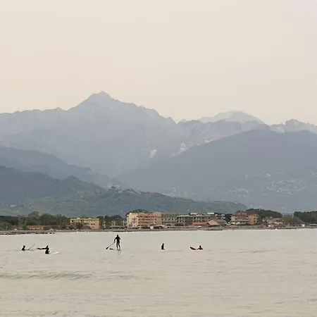 Plumbago Blue 아파트