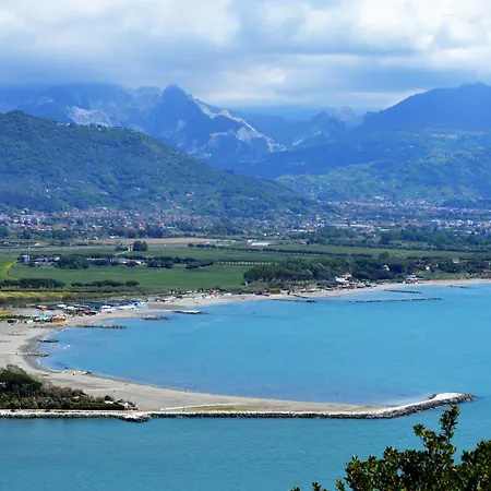Plumbago Blue * 아메그리아