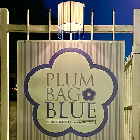 Plumbago Blue *