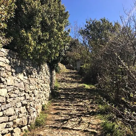 Apartmán Plumbago Blue