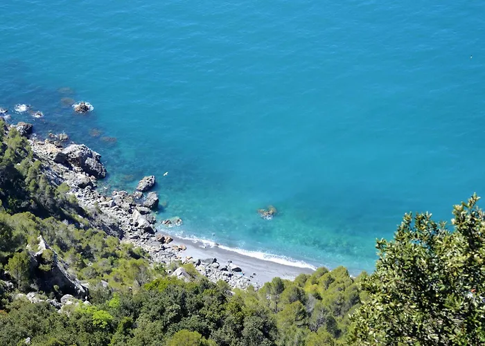 Plumbago Blue Ameglia