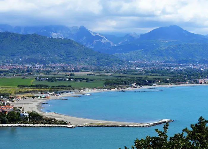 Plumbago Blue * Ameglia